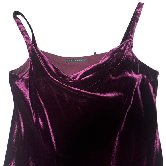 CHARUEL velvet midi dress - Picture 6 of 10